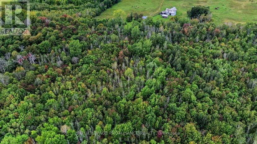 0 Kain Road, Edwardsburgh/Cardinal, photo 3