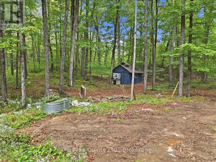 578 Old Apsley Road — photo 39 of 40