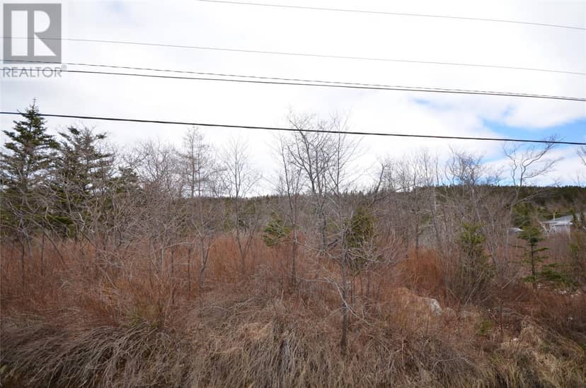 125-127 Red Bridge Road, Conception Bay South, photo 3