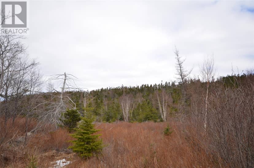 125-127 Red Bridge Road, Conception Bay South, photo 4