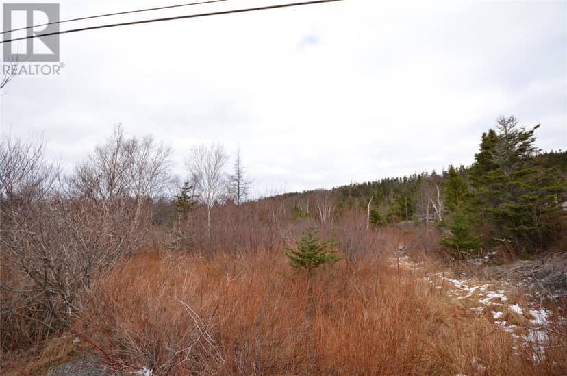125-127 Red Bridge Road, Conception Bay South, photo 5