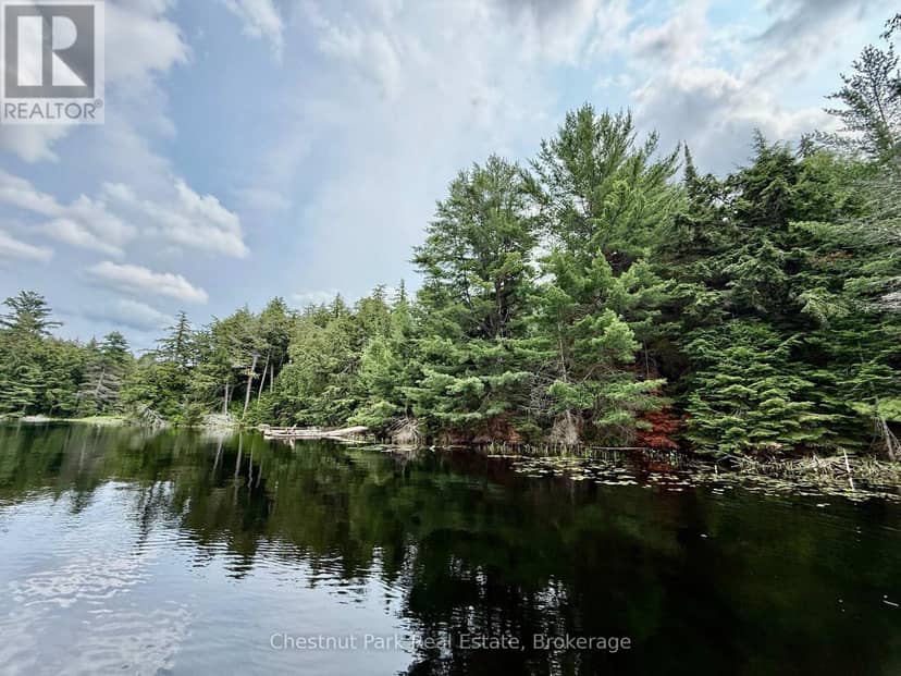 50 Cache Lake APL1322, South Algonquin, photo 8
