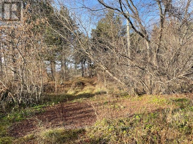 3678 McCarthy Drive, Clearview, photo 3