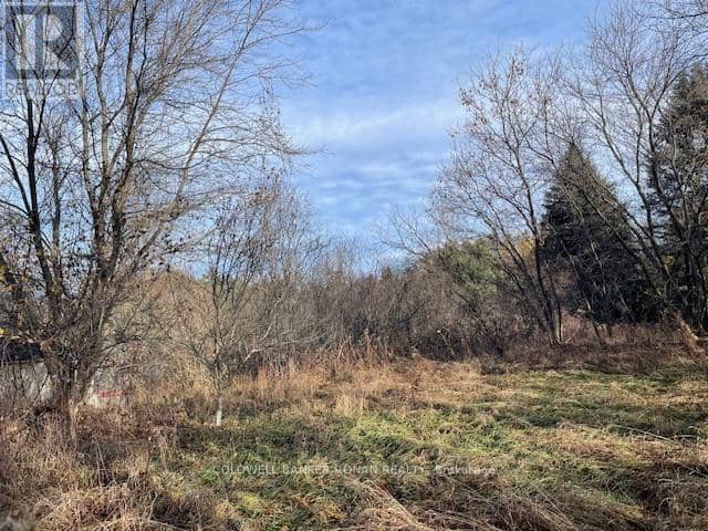 3678 McCarthy Drive, Clearview, photo 4