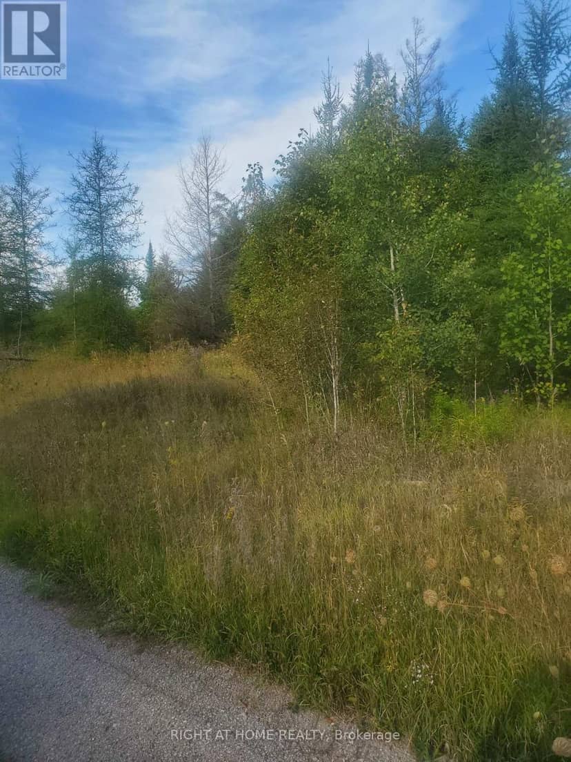 19013 62 Highway — photo 9 of 11