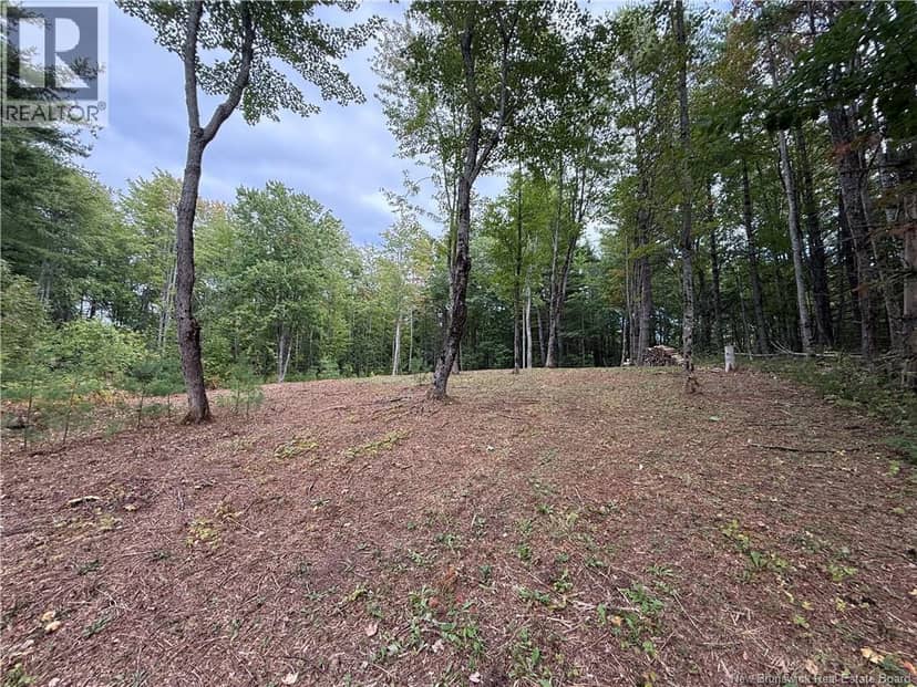 Lot 6 Pine Grove Lane — photo 12 of 35