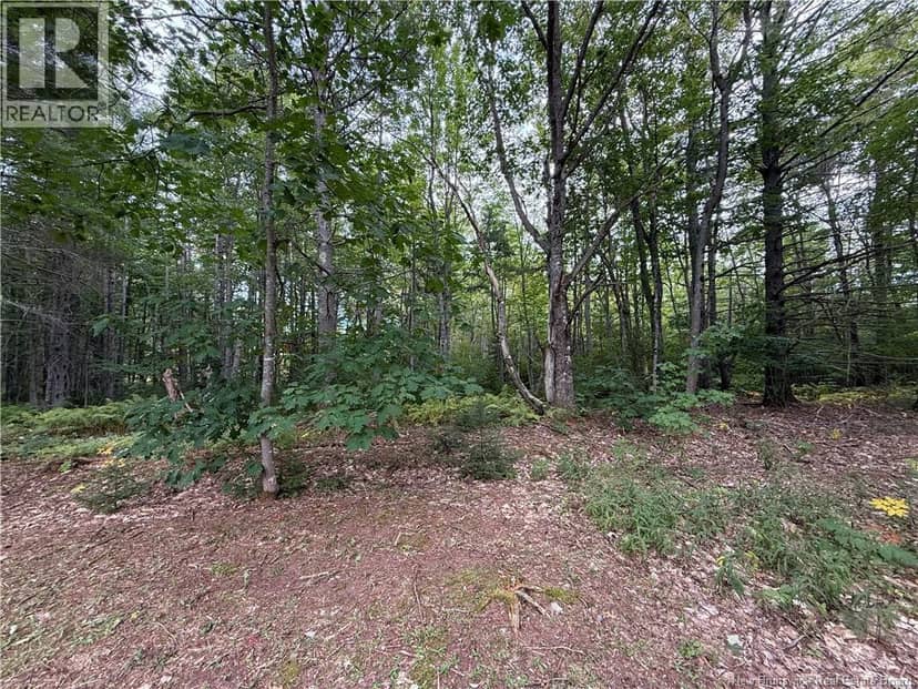Lot 6 Pine Grove Lane — photo 15 of 35