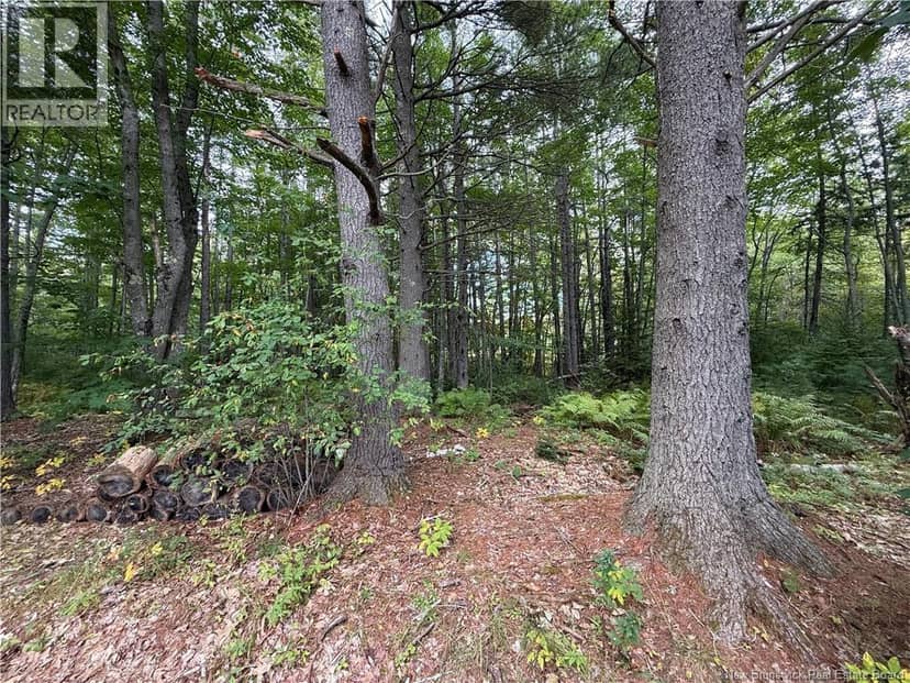 Lot 6 Pine Grove Lane — photo 18 of 35