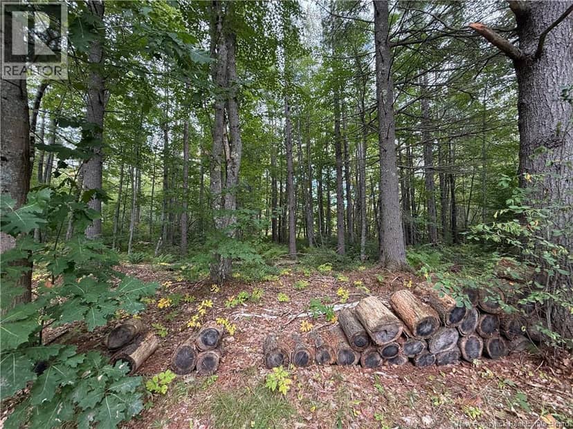 Lot 6 Pine Grove Lane — photo 19 of 35