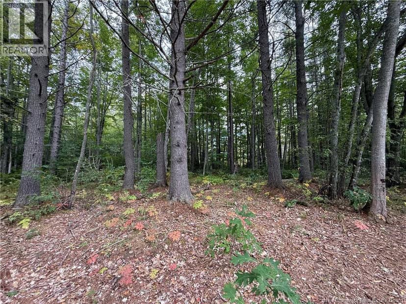Lot 6 Pine Grove Lane — photo 20 of 35
