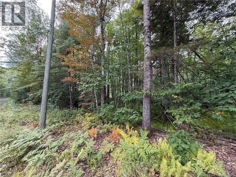 Lot 6 Pine Grove Lane — photo 30 of 35