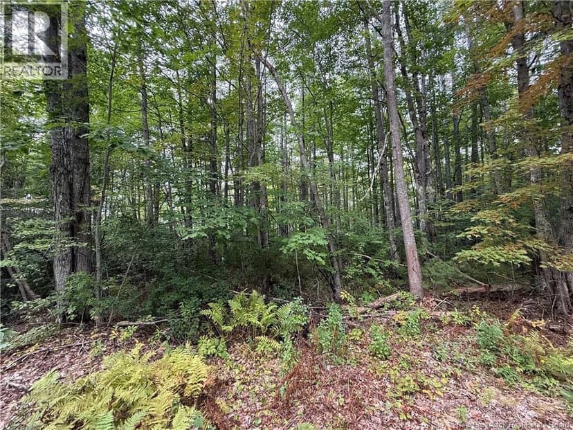 Lot 6 Pine Grove Lane — photo 31 of 35