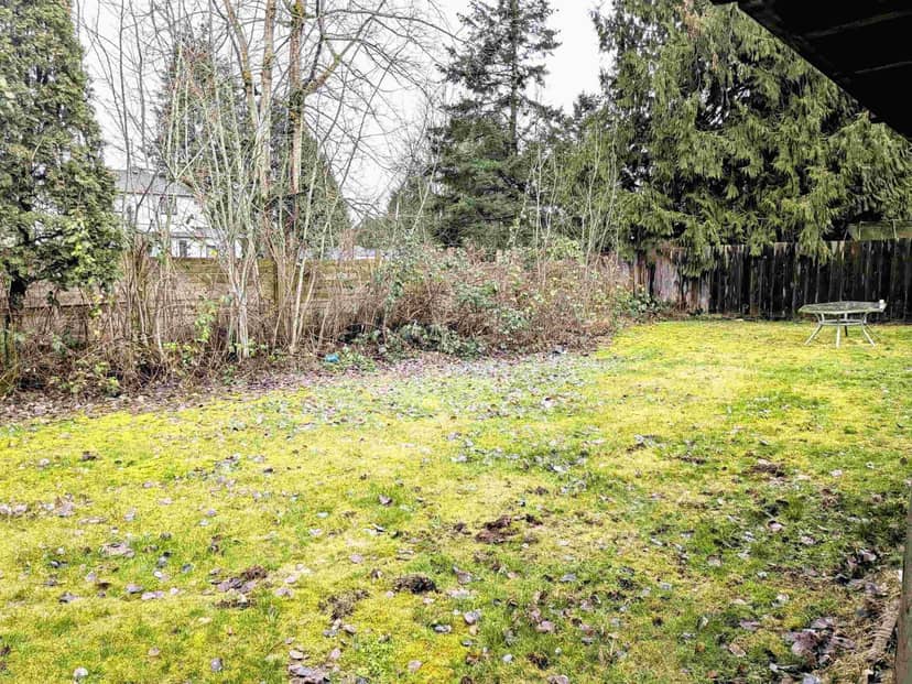 11812 85A Avenue, Delta, photo 5
