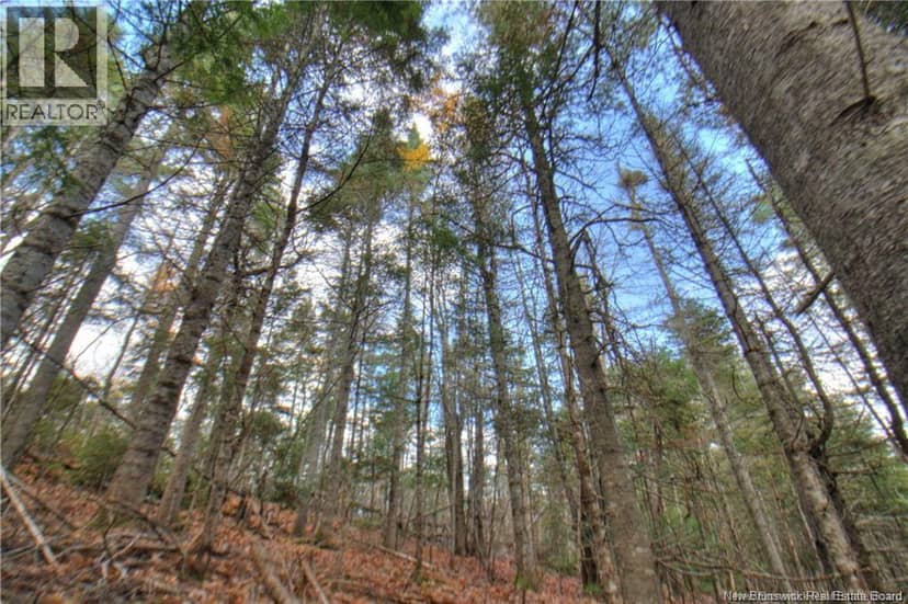 LOT 24-9 Creekview Lane — photo 10 of 23