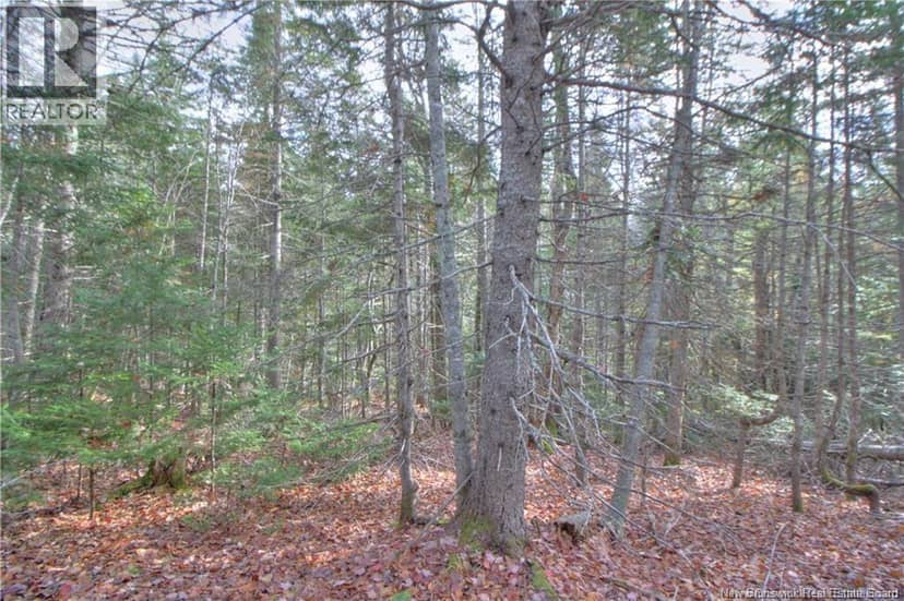 LOT 24-9 Creekview Lane, Galloway, photo 6