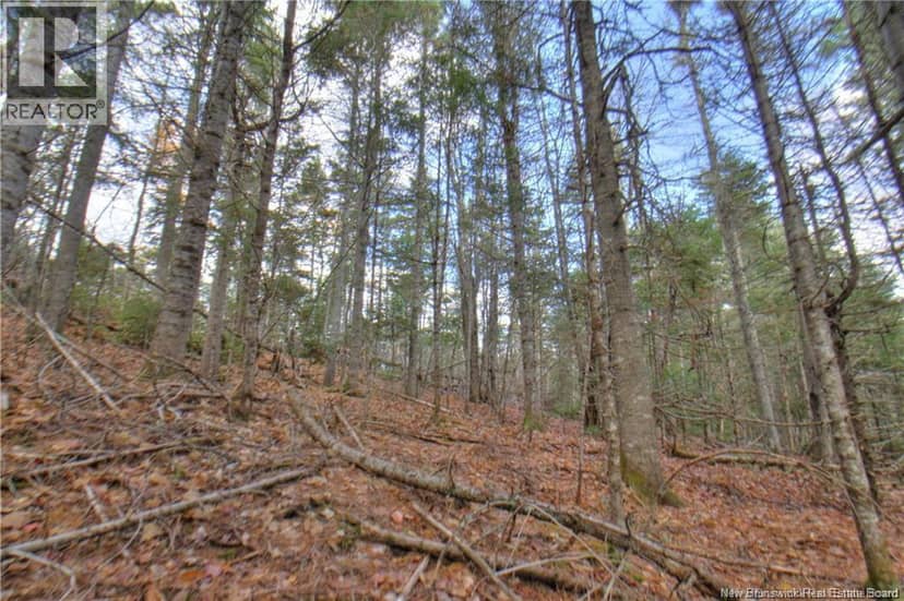 LOT 24-9 Creekview Lane — photo 9 of 23
