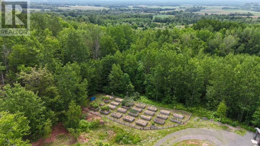516 Burgess Mountain Road — photo 9 of 40