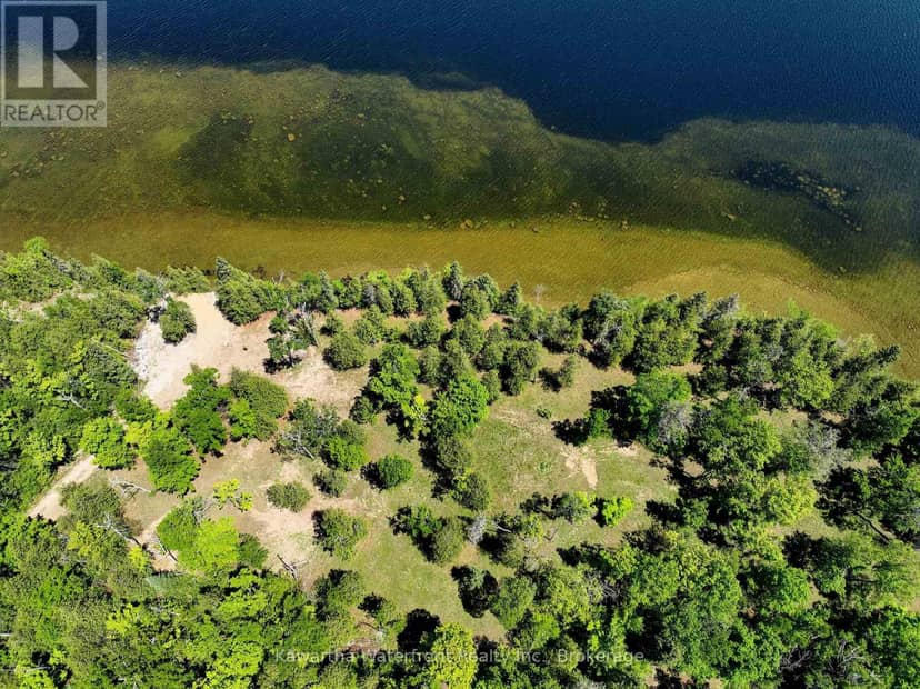 75 Beaver Drive, Kawartha Lakes, photo 7