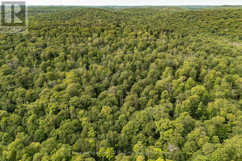 1099 Wolfkin Lake Road — photo 38 of 38