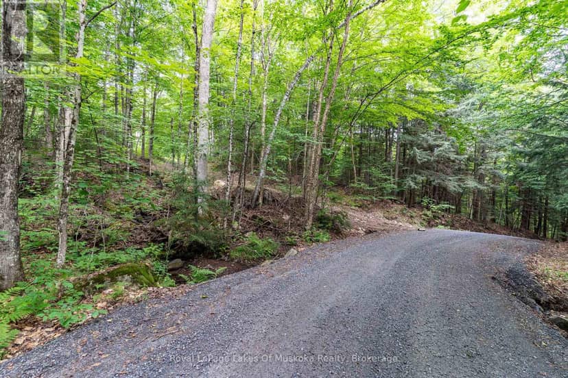 1099 Wolfkin Lake Road, Lake of Bays, photo 4