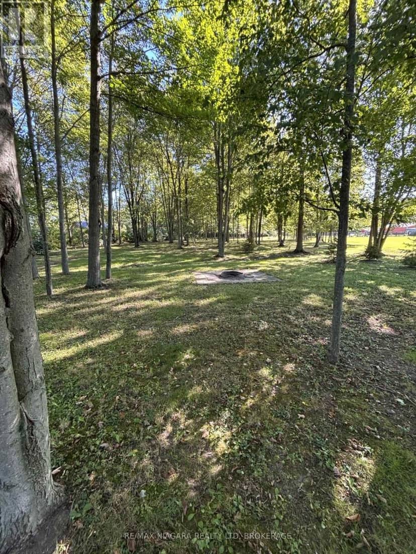 14592 Morris Road N, Niagara Falls, photo 3