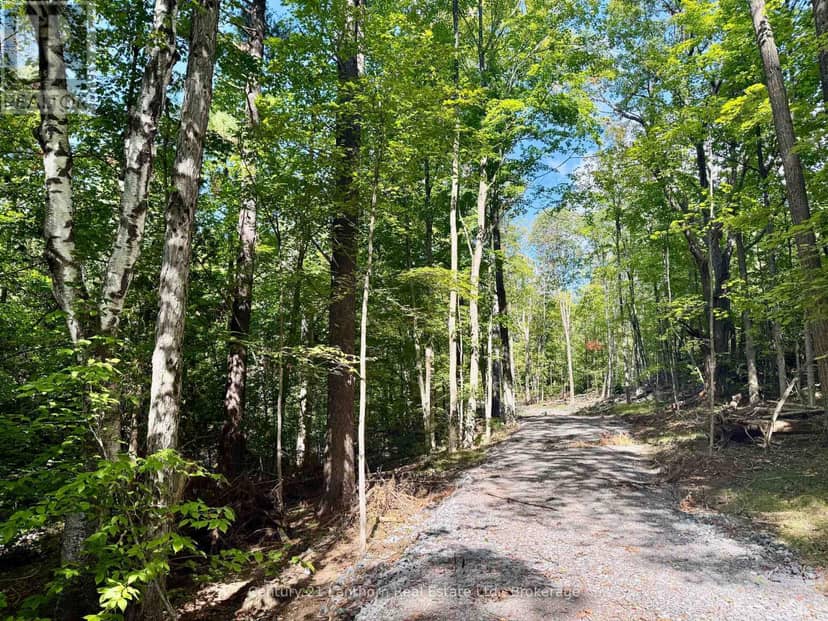 00 North Lot Highway 62, Madoc, photo 2