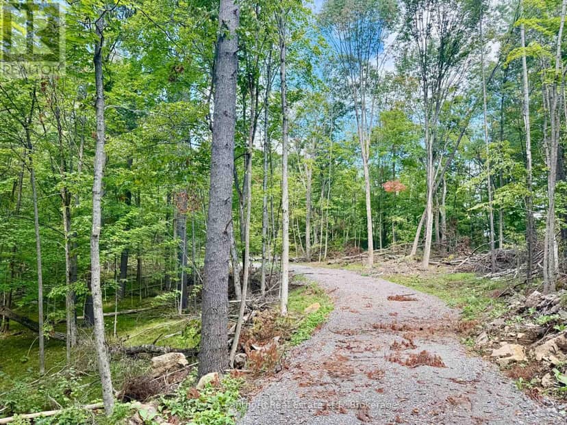 00 North Lot Highway 62, Madoc, photo 3