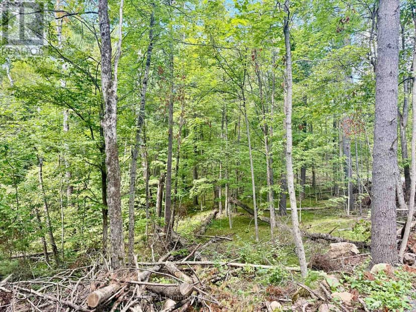 00 North Lot Highway 62, Madoc, photo 4