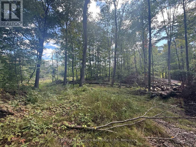 00 North Lot Highway 62, Madoc, photo 5