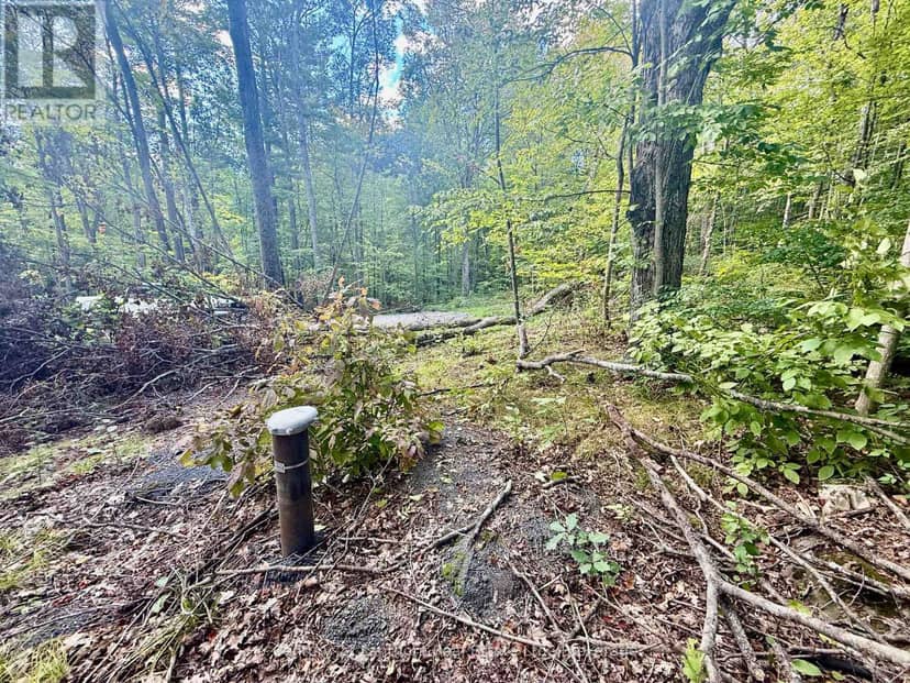 00 North Lot Highway 62, Madoc, photo 6