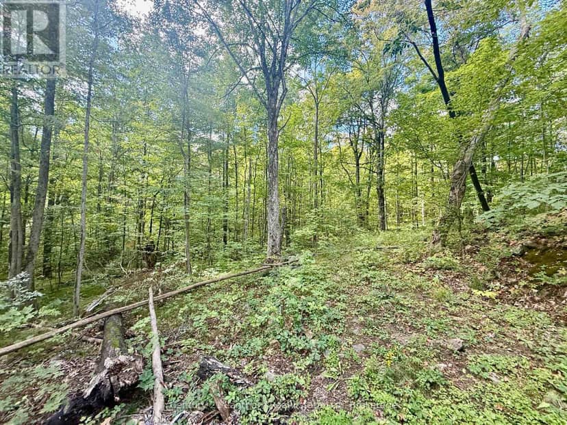 00 North Lot Highway 62, Madoc, photo 7