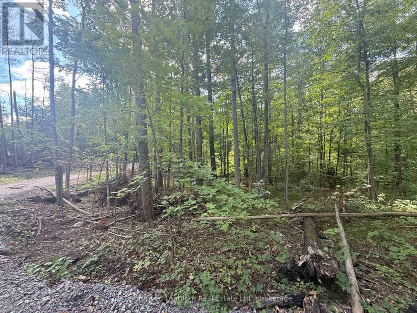 00 North Lot Highway 62, Madoc, photo 8