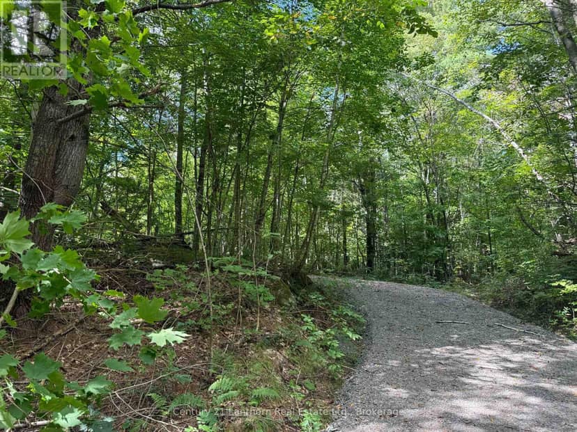 00 South Lot Highway 62, Madoc, photo 3
