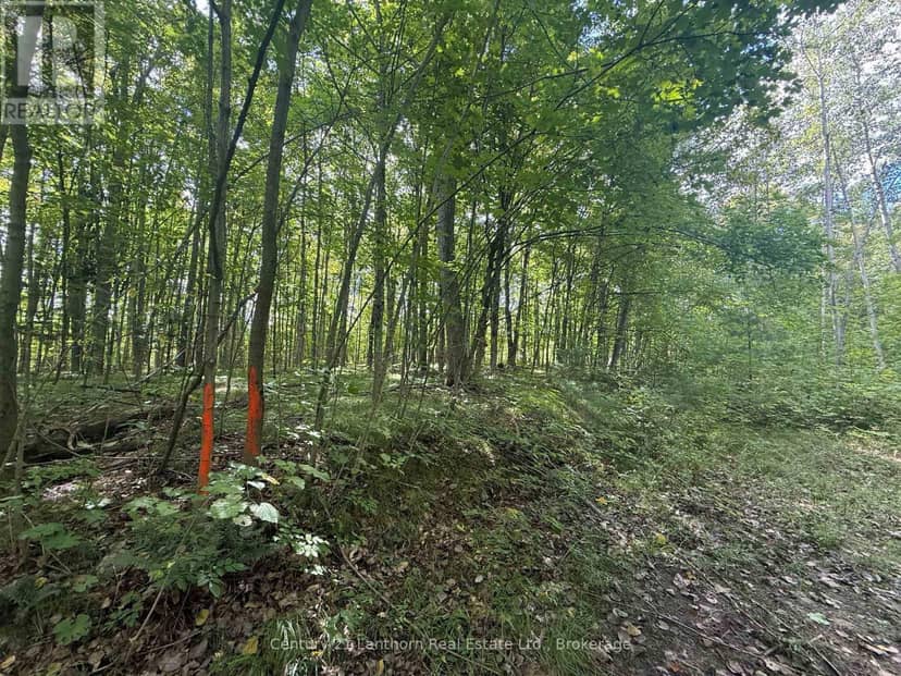 00 South Lot Highway 62, Madoc, photo 5