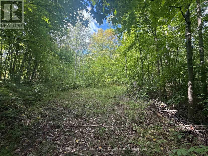 00 South Lot Highway 62, Madoc, photo 6