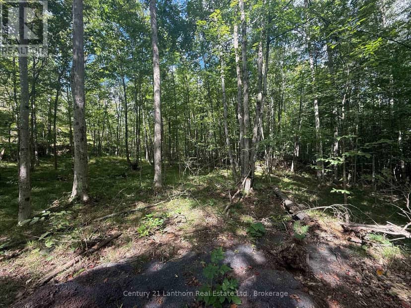 00 Middle Lot Highway 62 — photo 4 of 10