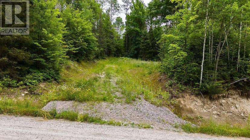 286 Halls Road E, Magnetawan, photo 3