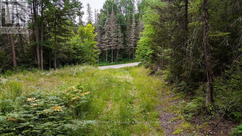 286 Halls Road E, Magnetawan, photo 4