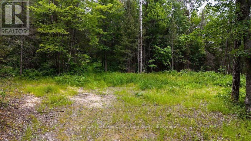286 Halls Road E, Magnetawan, photo 5