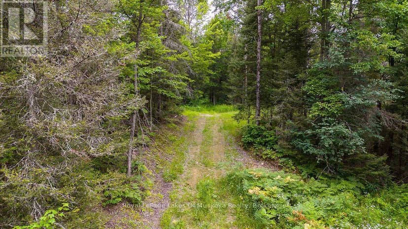 286 Halls Road E, Magnetawan, photo 6