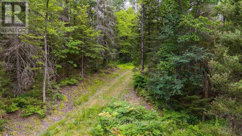 286 Halls Road E, Magnetawan, photo 7