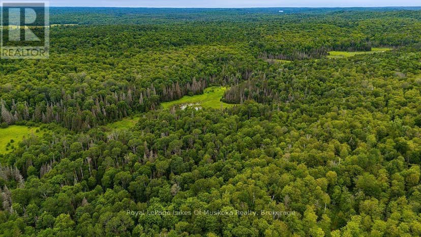 286 Halls Road E, Magnetawan, photo 8