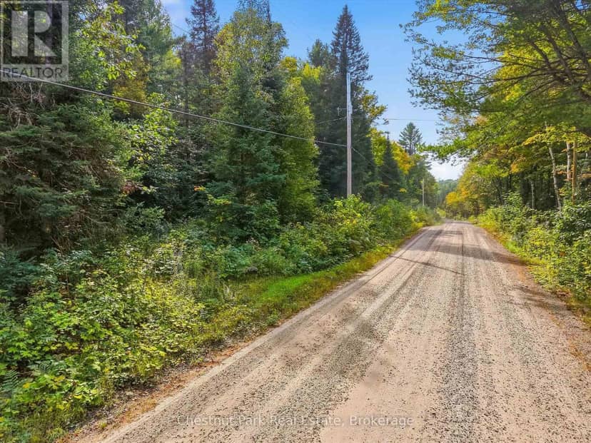 00 Paint Lake Road, Lake of Bays, photo 2