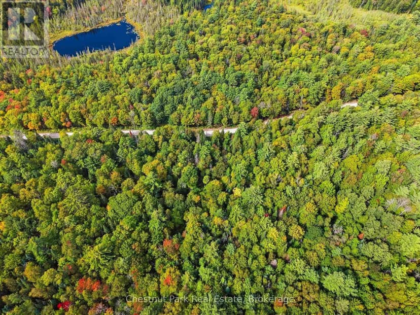 00 Paint Lake Road, Lake of Bays, photo 3