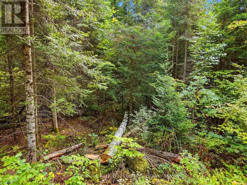 00 Paint Lake Road, Lake of Bays, photo 8