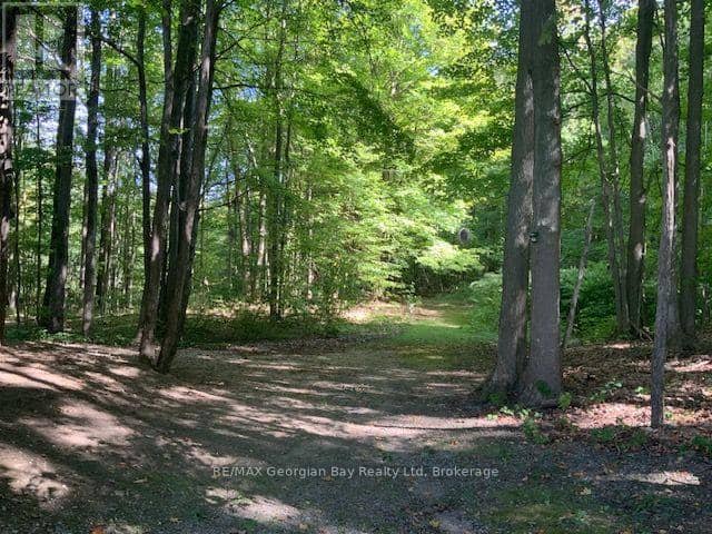 9513 County Rd 93 Road NE — photo 28 of 29