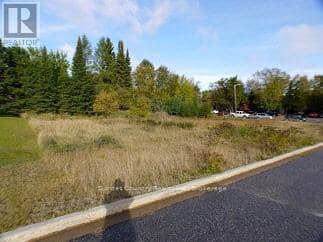 2 Sandy Beach Mews, Dryden, photo 3