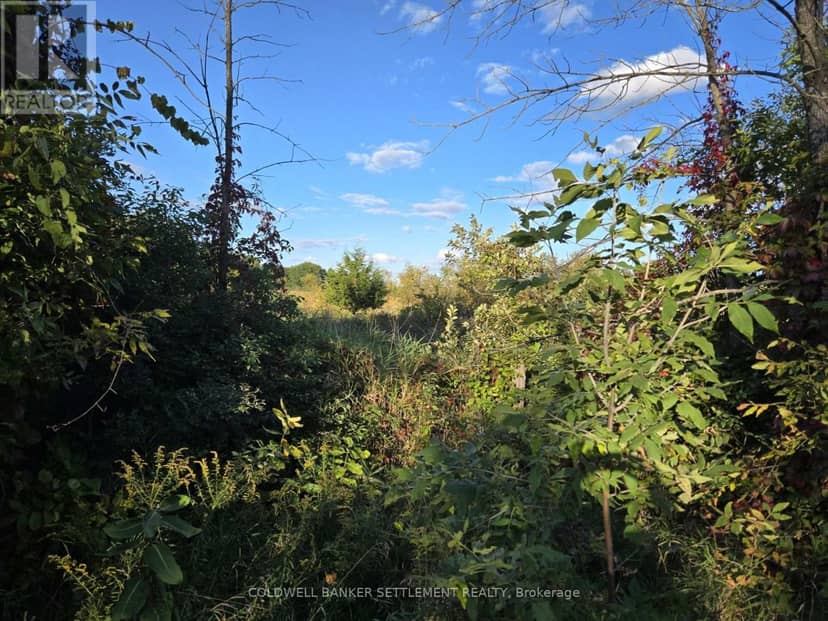 Lot 5 Bush Road, Rideau Lakes, photo 2