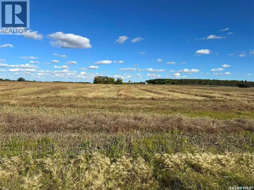 Preeceville 320 Acres Grain Farmland — photo 6 of 27