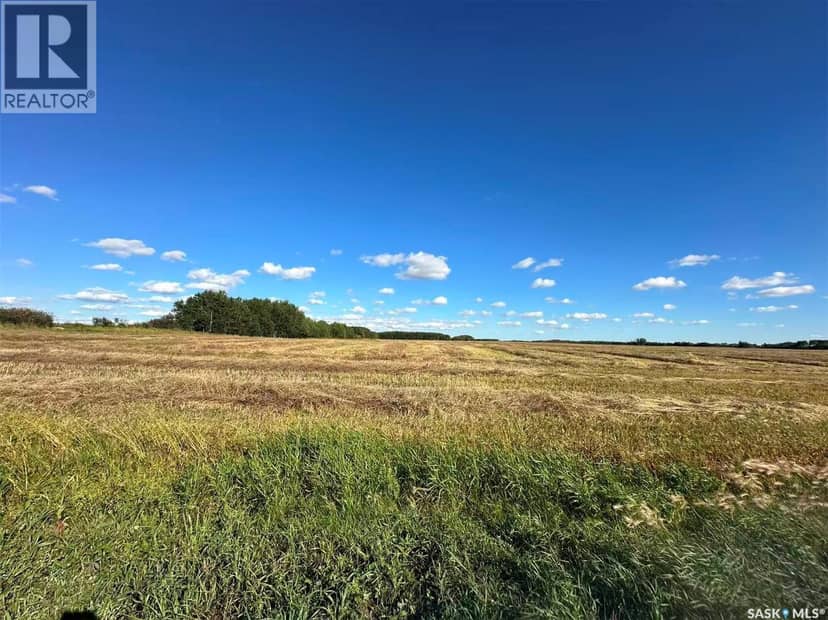 Preeceville 320 Acres Grain Farmland — photo 8 of 27